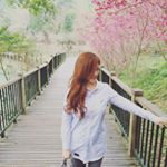 Profile Picture of misslisarabbit (@misslisarabbit) on Instagram