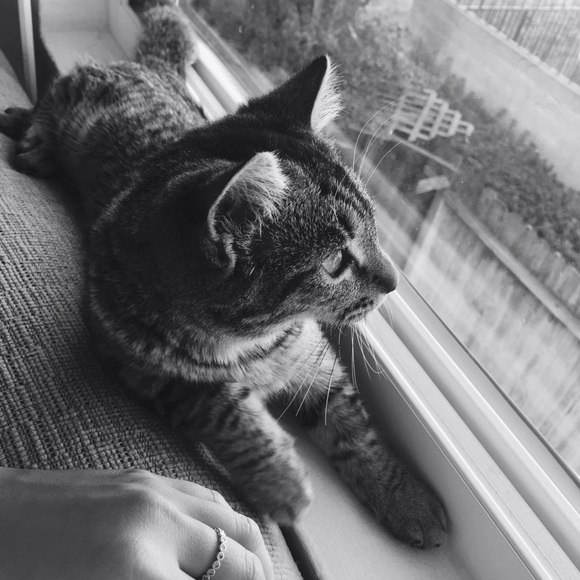 Profile Picture of Khanh Nguyen (@nhimkon) on Poshmark