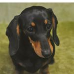 Profile Picture of Janice Duncan (@janicelucas35) on Instagram