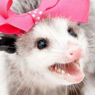 Profile Picture of Susan Goggins (@RavenHart) on Twitter