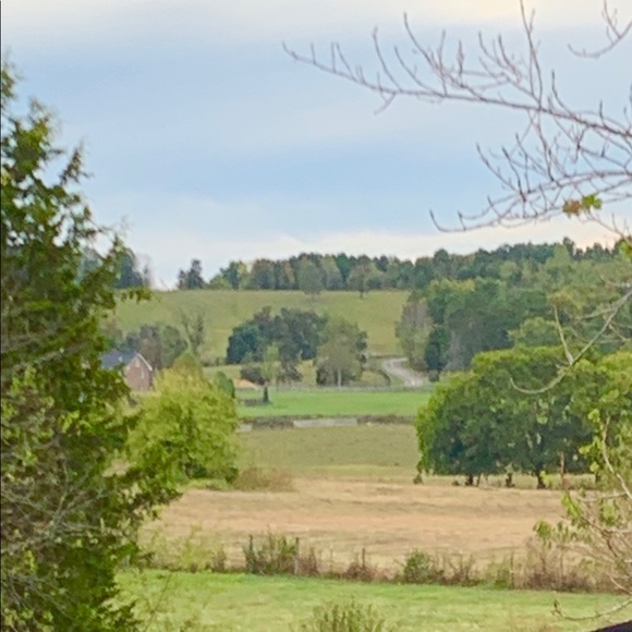 Profile Picture of Susie Tritto (@susietritto) on Poshmark