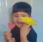 Profile Picture of Adam Karwan Karwan Hama (@Adam-Karwan-Karwan-Hama) on Facebook