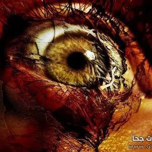 Profile Picture of Ameer Naser (@24RZ3gokAHVAzcH) on Twitter