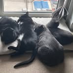 Steve Gorski - Facebook Profile Picture of Steve Gorski (@steve.gorski.758) on Facebook