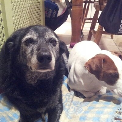 Profile Picture of Andrea Blackwell (@Andrea81black) on Twitter