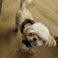 Profile Picture of Isaac Tisdale (@isaac-tisdale-1) on Quora