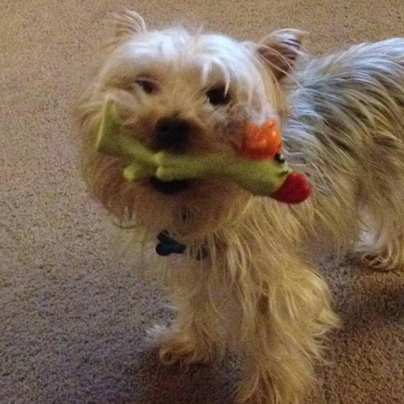 Deahonne Weissenfluh - Poshmark Profile Picture of Deahonne Weissenfluh (@deahonne) on Poshmark