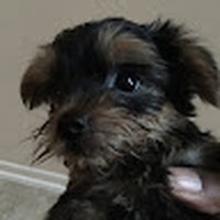 Profile Picture of Earl Bledsoe (@earl-bledsoe-2) on Quora
