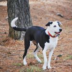 Profile Picture of JOSE RAMON ORGAZ RODRIGUEZ (@jrorgazr) on Instagram