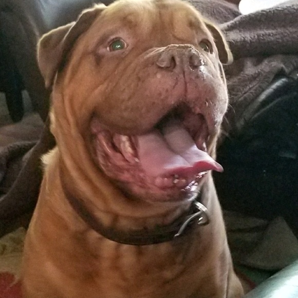 Profile Picture of Pat Lenczewski (@bigpole33) on Poshmark