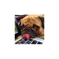 Profile Picture of James R Albertini (@james-r-albertini) on Quora