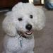 Profile Picture of Linda Carpenter (@lraec) on Pinterest