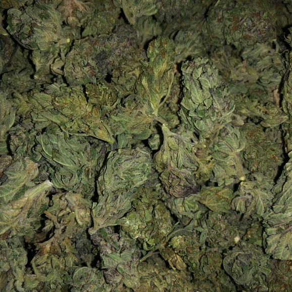 Raymond Rojas - Poshmark Profile Picture of Raymond Rojas (@raymondbqndz) on Poshmark