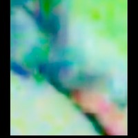 Profile Picture of William Calabrese (@william-calabrese-6) on Quora