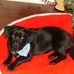 Profile Picture of Pedro Scott (@pedro.scott.1460) on Facebook