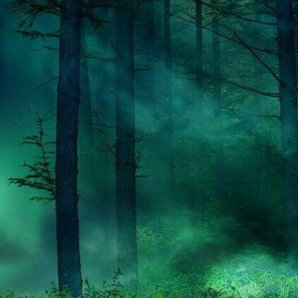 Profile Picture of Paula Murphy (@pimurphy) on Poshmark