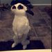 Profile Picture of Amanda Mapes (@mapesamanda1) on Pinterest