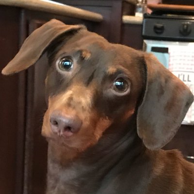Profile Picture of Kim Blair Rogan (@Kblair_221) on Twitter