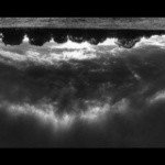 Profile Picture of STAN (@vancilalex) on Instagram