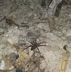 Profile Picture of Tanya Monhollen (@tanya.monhollen) on Facebook