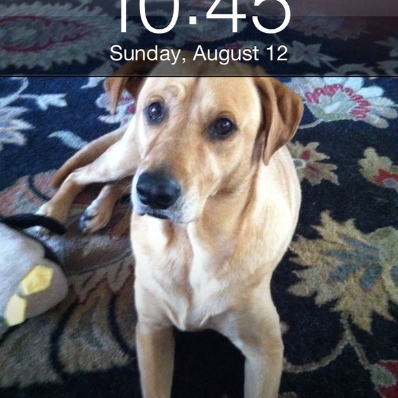 Profile Picture of Patricia Kiphart (@dealnbluffton) on Poshmark