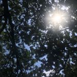 Profile Picture of Mandy Conrad (@janie_baby87) on Instagram