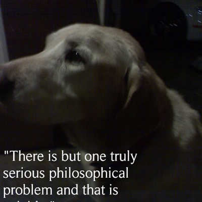 Profile Picture of Chip Hamilton (@imunnadiesoon) on Twitter