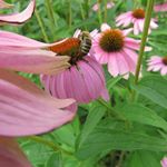 Profile Picture of Edward Bauer (@edward._.bauer._.bilder) on Instagram