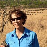 Profile Picture of Sherry Edwards (@sherry.a.edwards) on Instagram