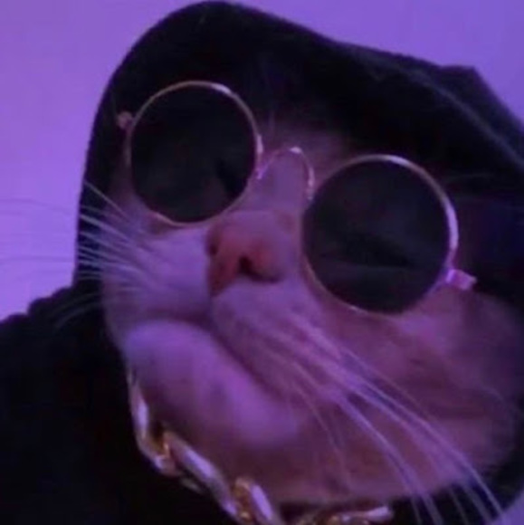 Profile Picture of Madison Ivy (@madisonivy447) on Poshmark