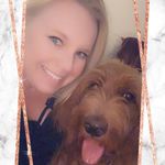 Profile Picture of Alyssa Schroeder (@goldyllockz6) on Instagram