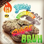Profile Picture of Dustin Hall (@bluntsupfry) on Instagram