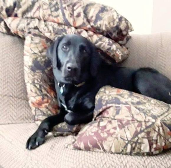 Profile Picture of Shawna Shepherd (@seminolewinds) on Poshmark