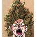 Profile Picture of Nicholas McKee (@nicholas.mckee.376) on Facebook