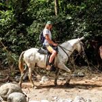 Jesse Jason - Instagram Profile Picture of Jesse Jason (@jessejasonn) on Instagram