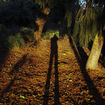 Profile Picture of Patrick Healy-gardner (@patrick_hg) on Flickr