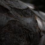 Profile Picture of benjamin robles (@il_peperroni.ph) on Instagram