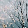 Profile Picture of Benjamin Moretti (@benjaminm4192) on Pinterest