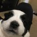 Profile Picture of Haley Mcbride (@haley.mcbride.3304) on Facebook