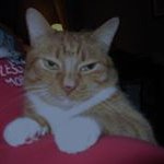 Profile Picture of Barney Moore (@fredmoore0404) on Instagram