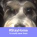 Profile Picture of Louise Binion (@louise.binion.3) on Facebook