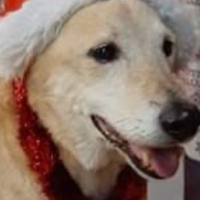 Profile Picture of Adam Wróblewski (@AdamWrblewski13) on Twitter