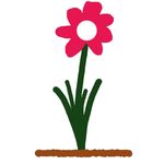 Profile Picture of Paul Flower (@bramble.bay.freelance) on Instagram