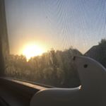 Profile Picture of Chris Magnuson (@chrismagnuson_) on Instagram