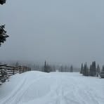 Profile Picture of Danny Drennan (@Danny-Drennan) on Facebook