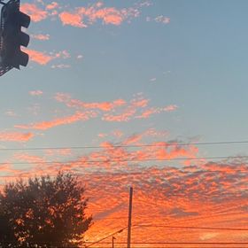 Profile Picture of Ariel Rogers (@rogersariel329) on Pinterest