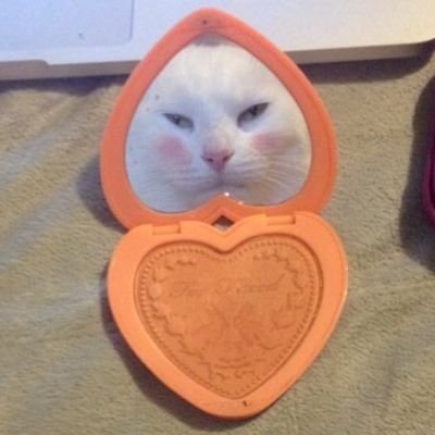Profile Picture of Pauline (@paulinee_huynh) on Twitter