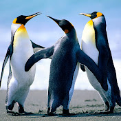 Profile Picture of John Armstrong (@johnarmstrong1654) on Youtube