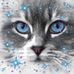 Profile Picture of Paula Downey (@paula.downey.7) on Facebook