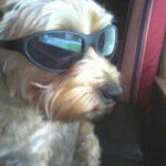 Profile Picture of Jason Shedden (@jasonshedden) on Instagram